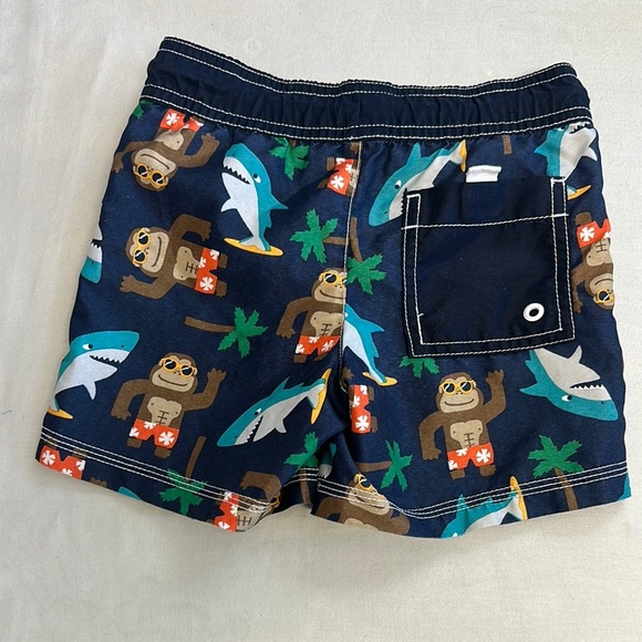 Gymboree - LIKE NEW - Blue and White Fun Patterned Shorts/Swim trunks - Picture 3 of 4